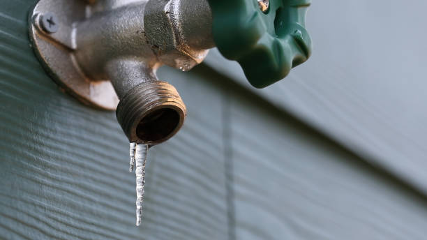 Best Affordable Plumbing Services  in Fulton, KY